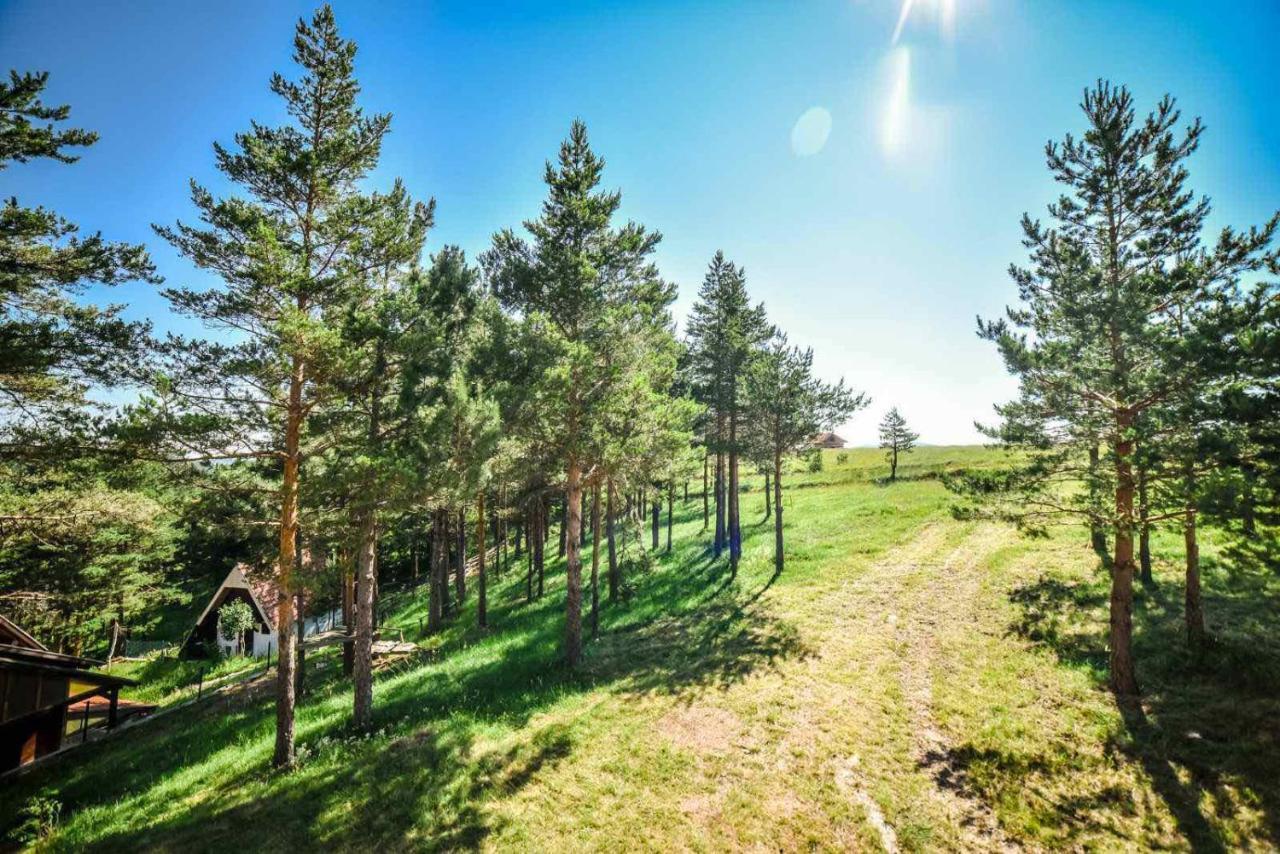 Ng Apartmani Tornik Златибор Экстерьер фото