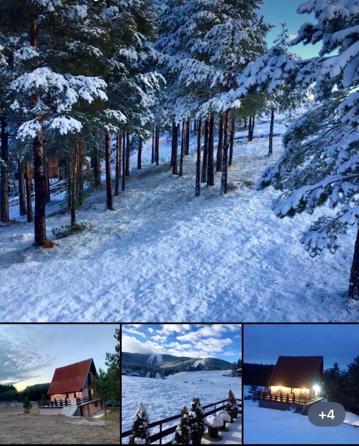 Ng Apartmani Tornik Златибор Экстерьер фото